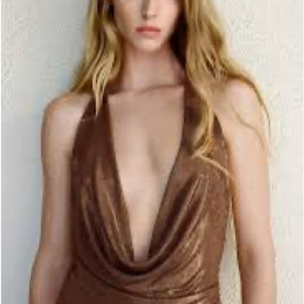 Zara Shimmering Brown Backless Dress